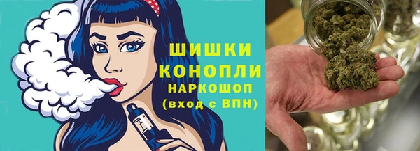 тгк Богородицк