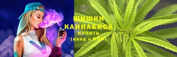 молекула духа Бородино