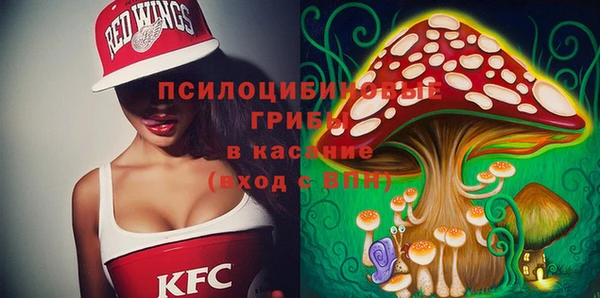тгк Богородицк