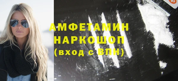 молекула духа Бородино