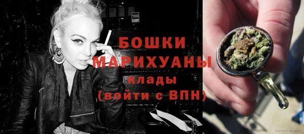 молекула духа Бородино