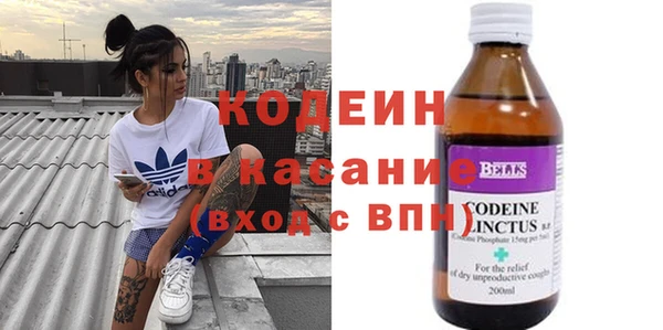 молекула духа Бородино