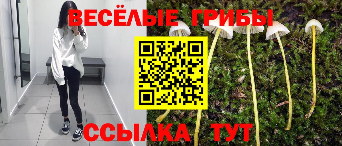 Галлюциногенные грибы MAGIC MUSHROOMS  Вход с VPN  Бузулук 